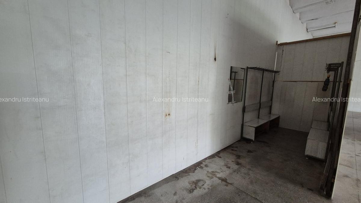 Spatiu Th. Pallady | Ozana | Depozitare-Productie 180mp - 5