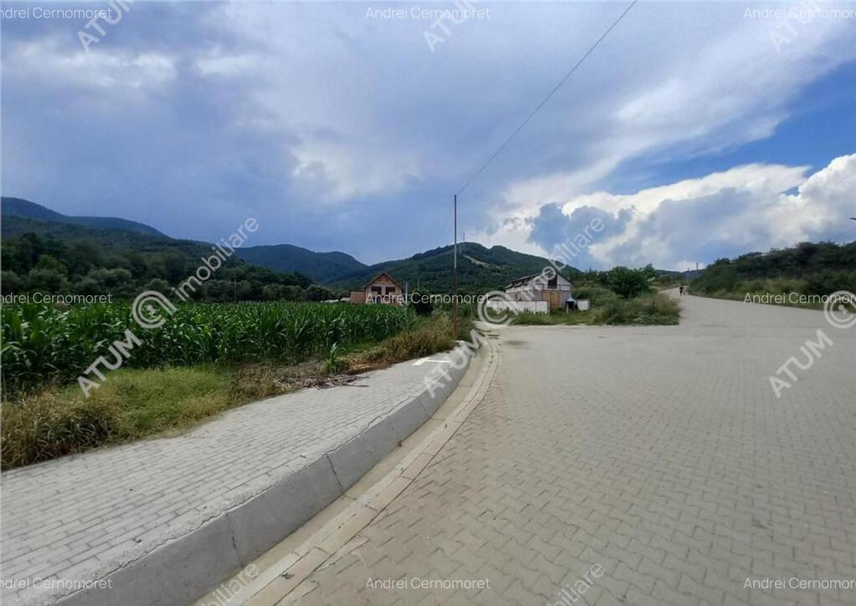 De 733 mp in Boita Sibiu - 3