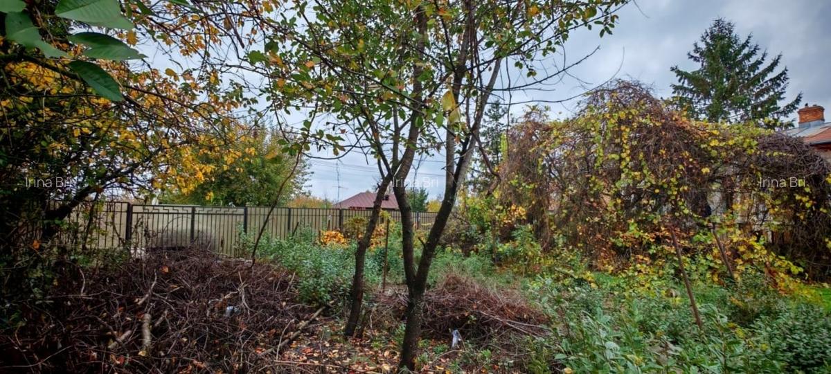 Casa locuibila cu 3 camere, 1700 mp teren deschidere 30 m, DOMNESTI - 10