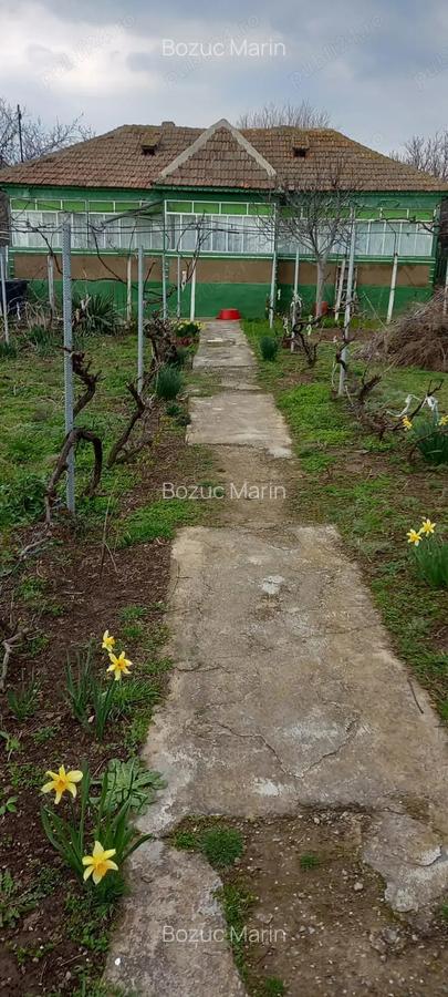 Casa batraneasca 2 corpuri + teren 3200 mp cu vie - loc. Mircea Voda, Tulcea - 2