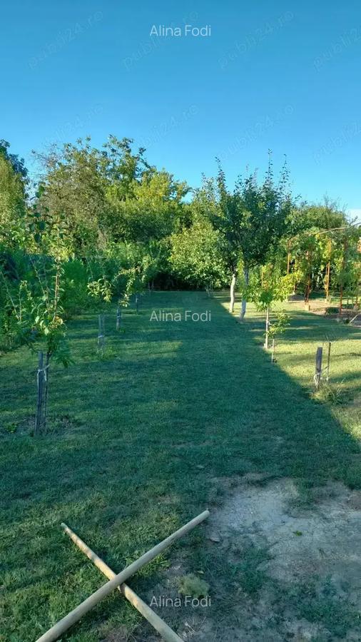 Vand casa in Lugoj, 135000de euro pre? fix! - 4