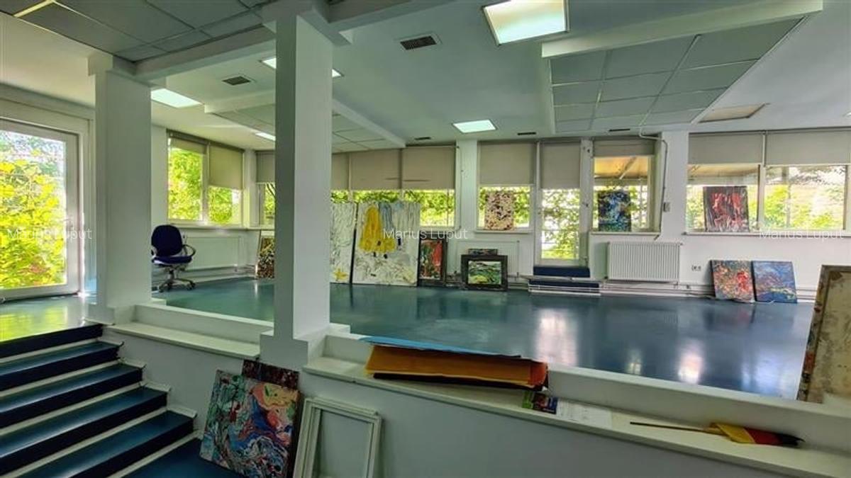 Cladire multifunctionala SAD, 750 mp utili, Semicentral - Timisoara - 5