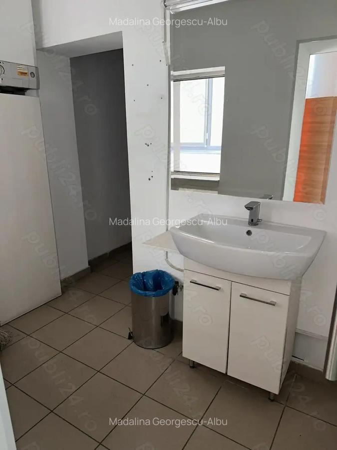 Theodor Pallady stradal birou 410 mp utili LIBER - 20