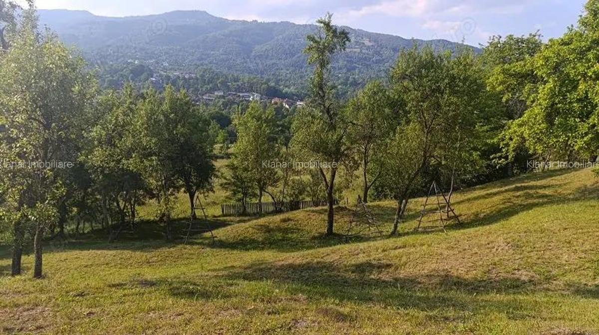 Super oferta! Teren 4874 mp in Arefu jud Arges - 3