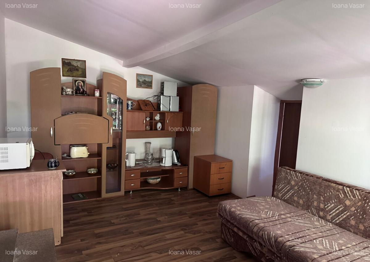 Persoana fizica cabana cu teren la Belis - 2