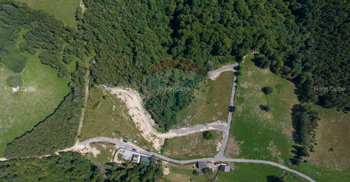 Teren Panoramic in Bran Vedere spre Bucegi & Piatra C... - 1