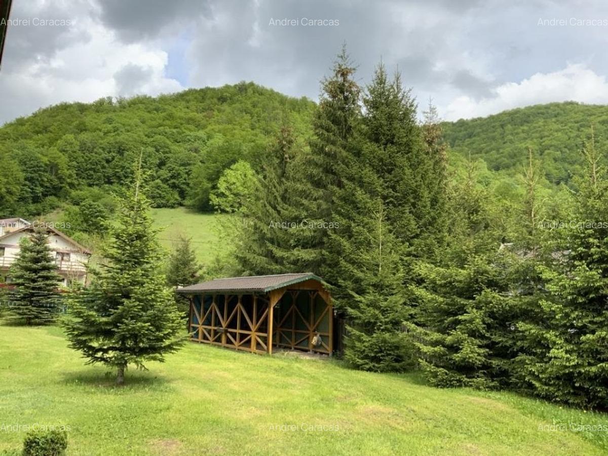 Casa cu Teren de 3000 metri patrati de vanzare - 12