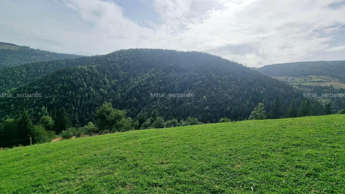 Vand teren la munte pentru cabana - 1