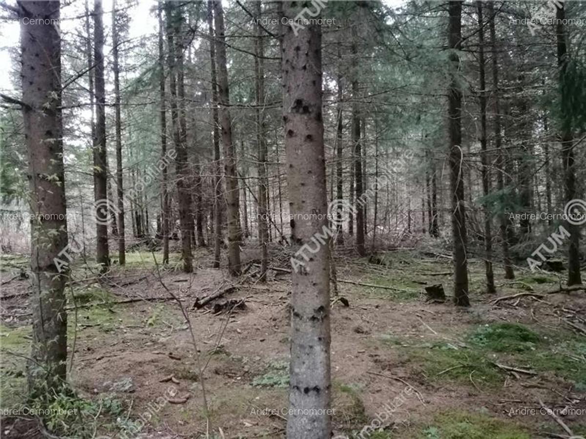 Teren intravilan de vanzare in Avrig zona Valea Avrigului - 1