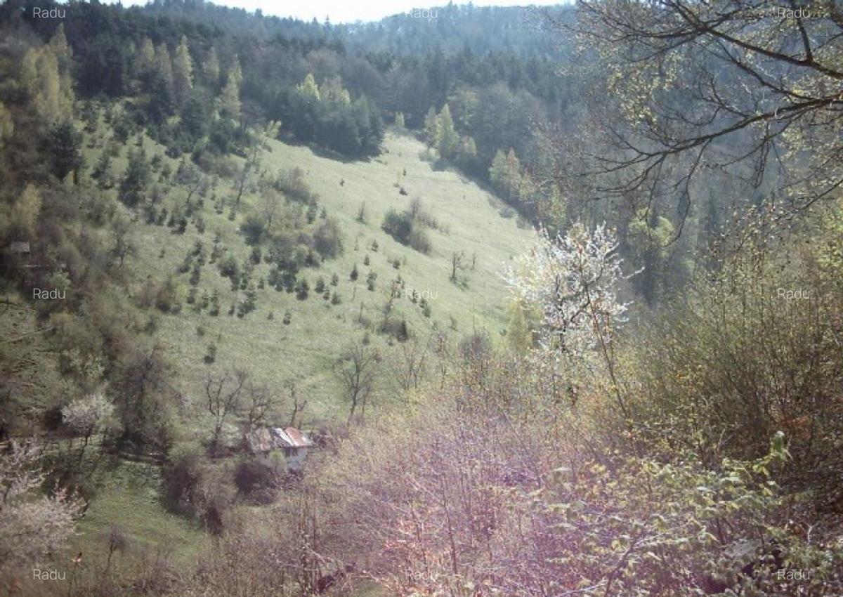 Teren intravilan Brasov 20320mp - 8