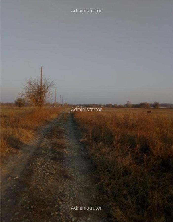 Loturi de teren intravilan Darasti-Ilfov - 3 Loturi de teren intravilan Darasti-Ilfov - 3