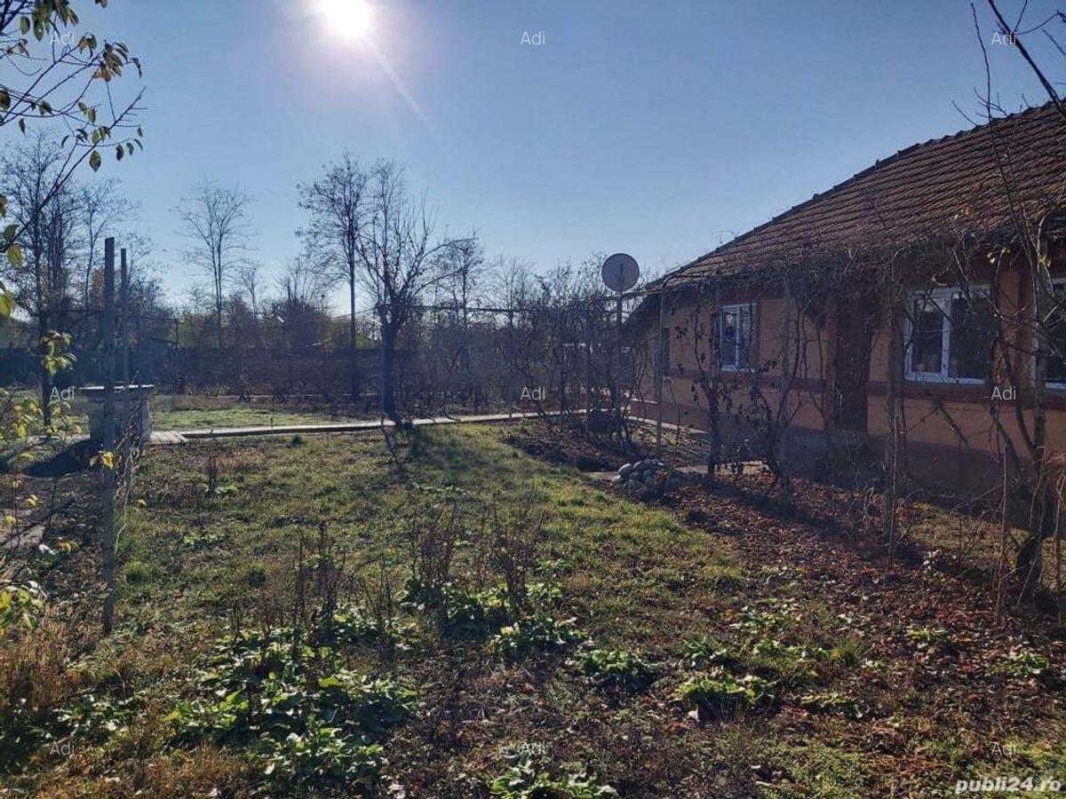 Teren plus casa de vanzare in Andrasesti Ialomita - 12