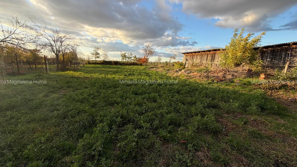 Casă de vânzare în Berveni - 2