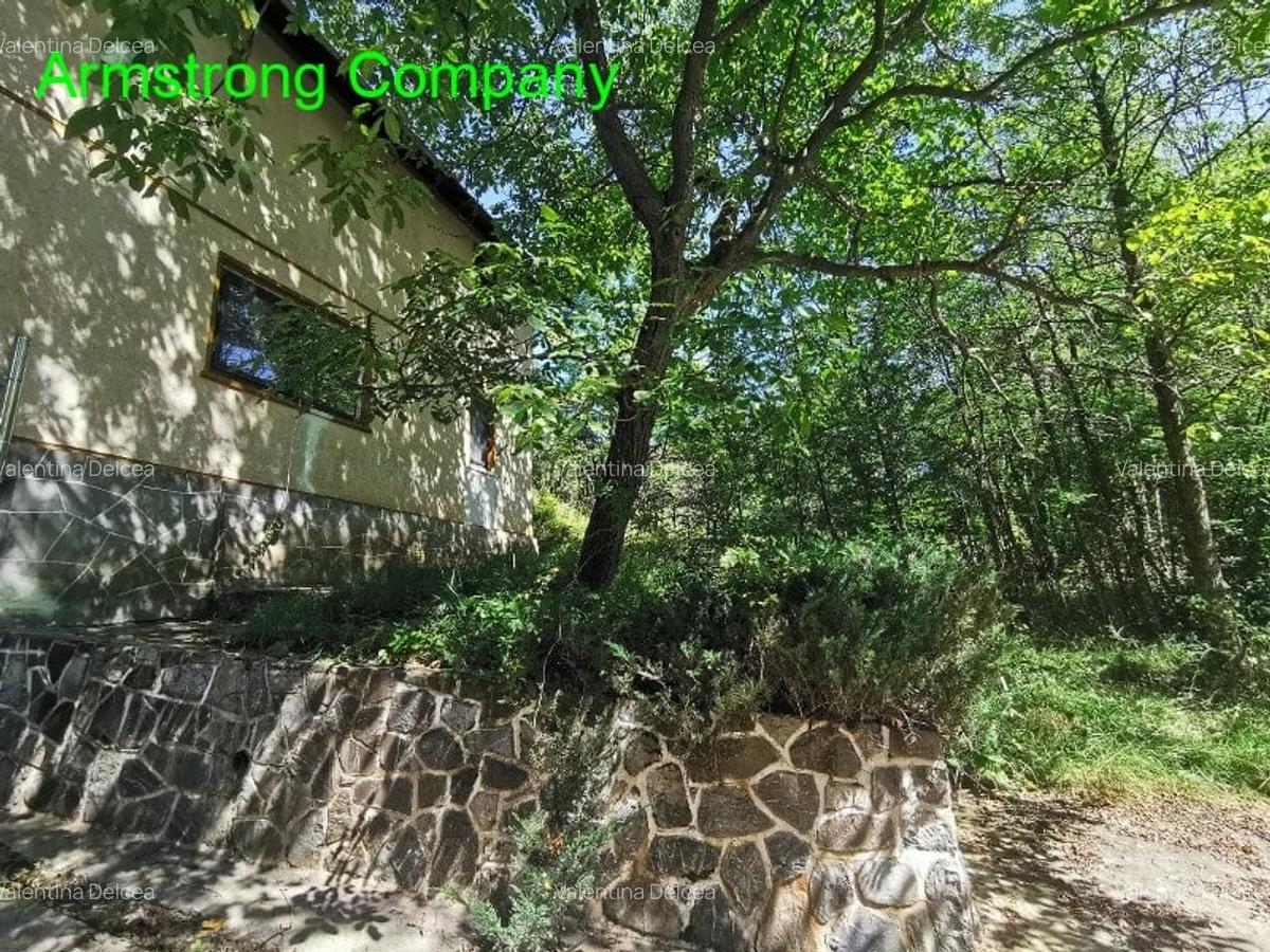 Vanzare Vila Breaza Nistoresti - 3