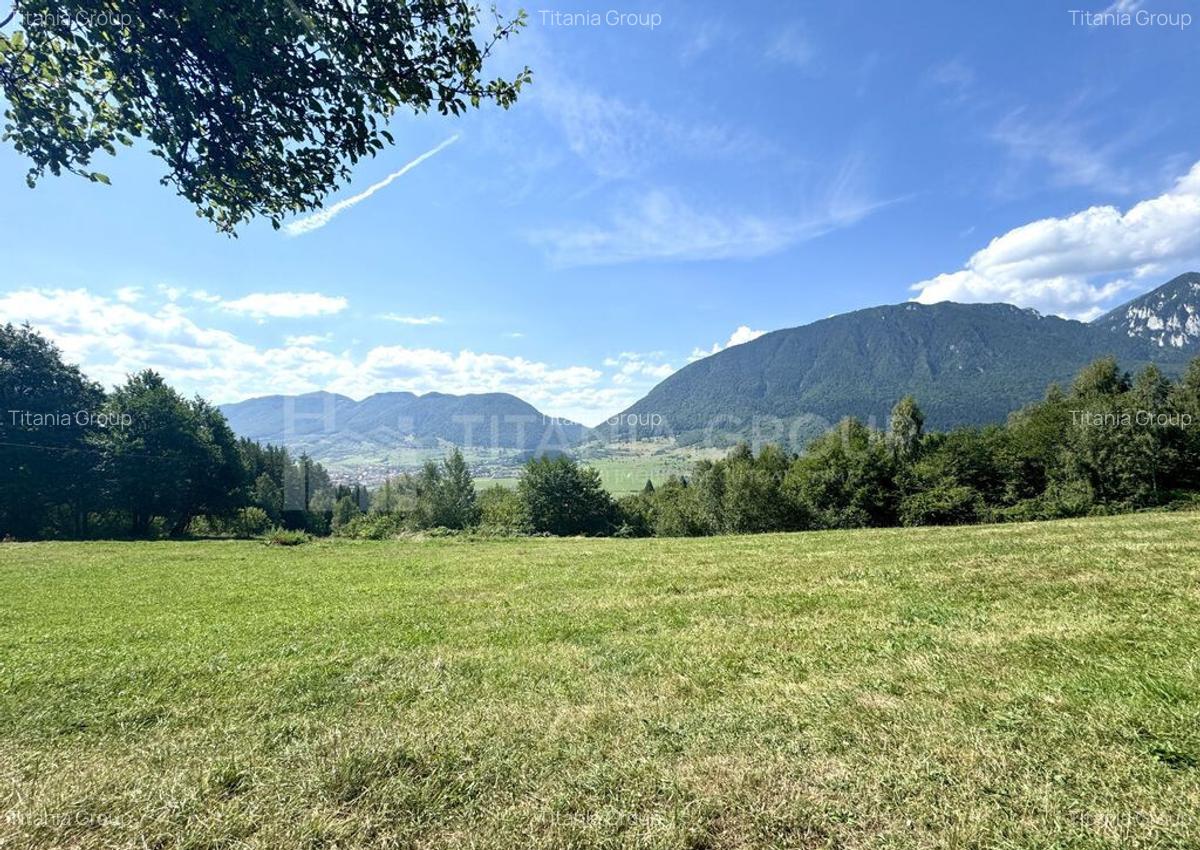 Platou montan, 6631 mp intravilan, electricitate, langa p... - 10