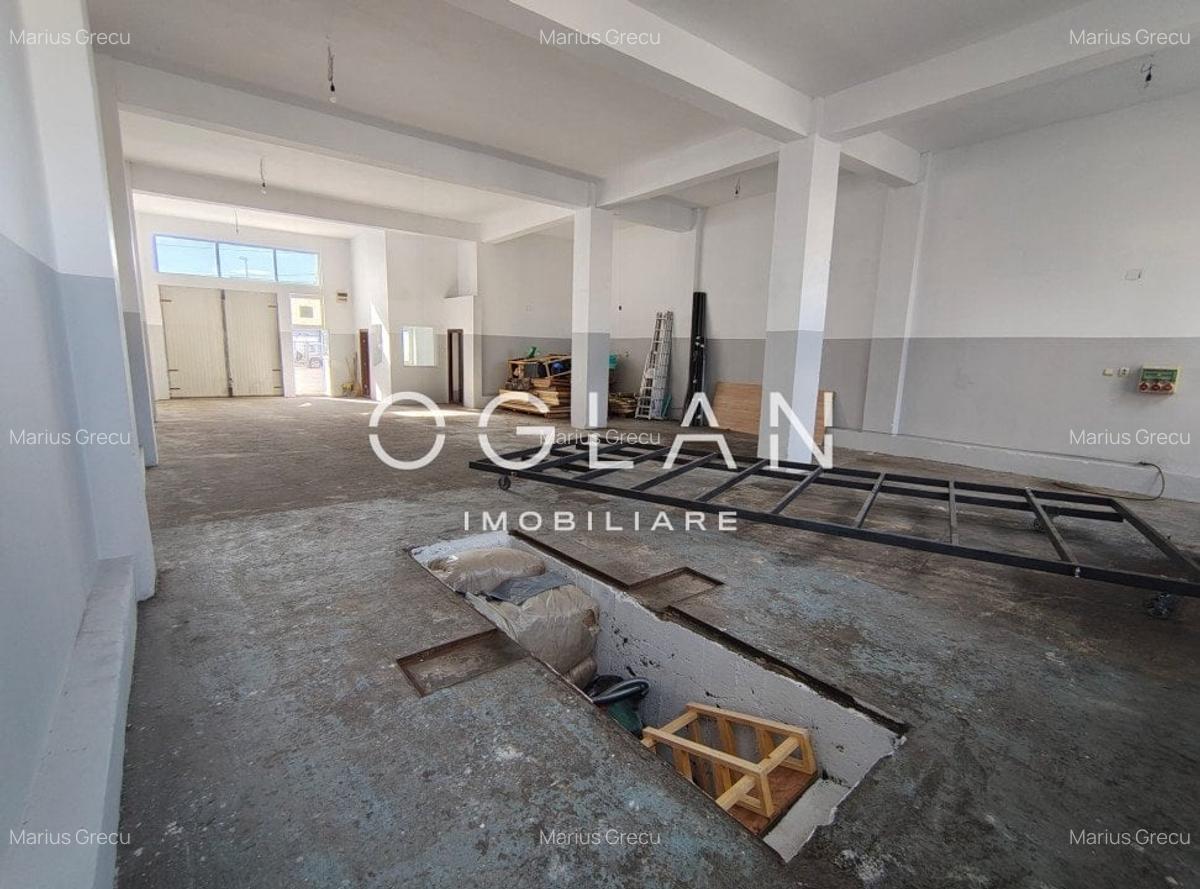 Spatiu comercial 450 mp (P+E)- zona Terezian - 5