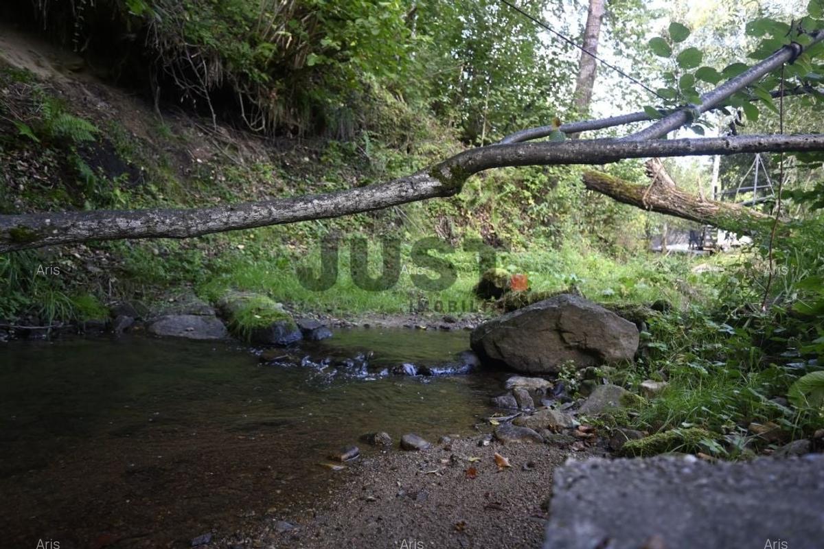 Problema e orașul. Soluția: un pârâu în curtea ta. Rasca/Valea Fericirii - 12