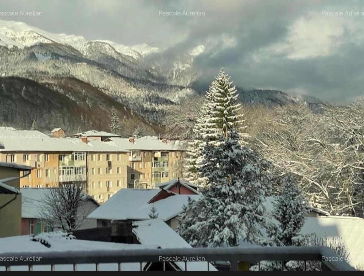 Studio Sinaia cu vedere spre munte - 11 Studio Sinaia cu vedere spre munte - 11