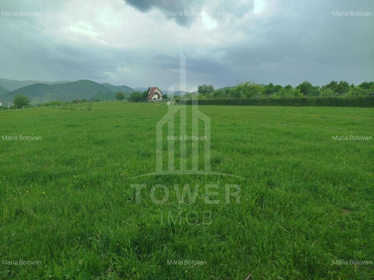 Teren de vinzare in Tropini Vechi - 7