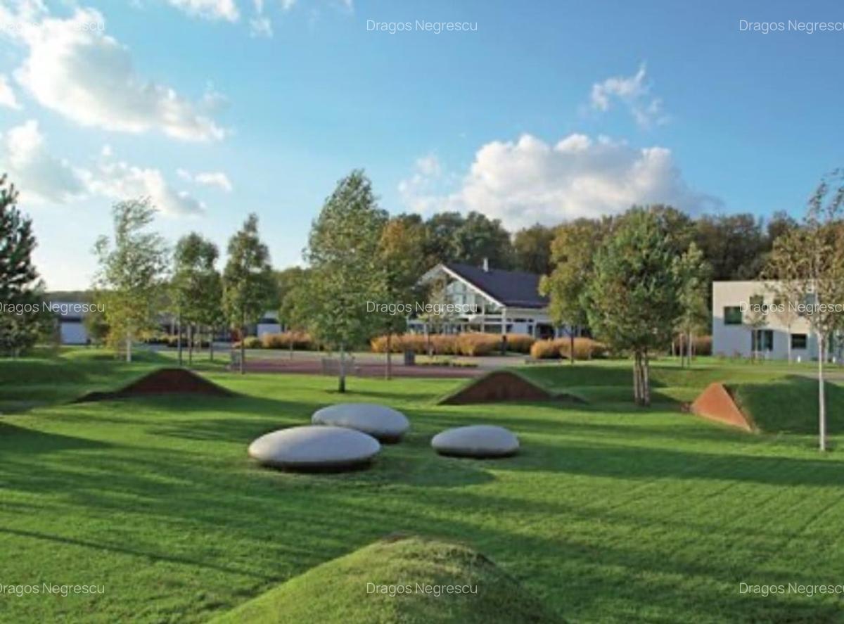 Teren de vis în Dumbrava Vlăsiei – 1290 mp, la marginea pădurii mature - 1