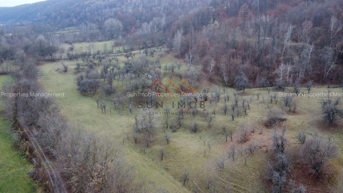 Teren Construcții intravilan de 36000 mp, în Provița de Jos - 4