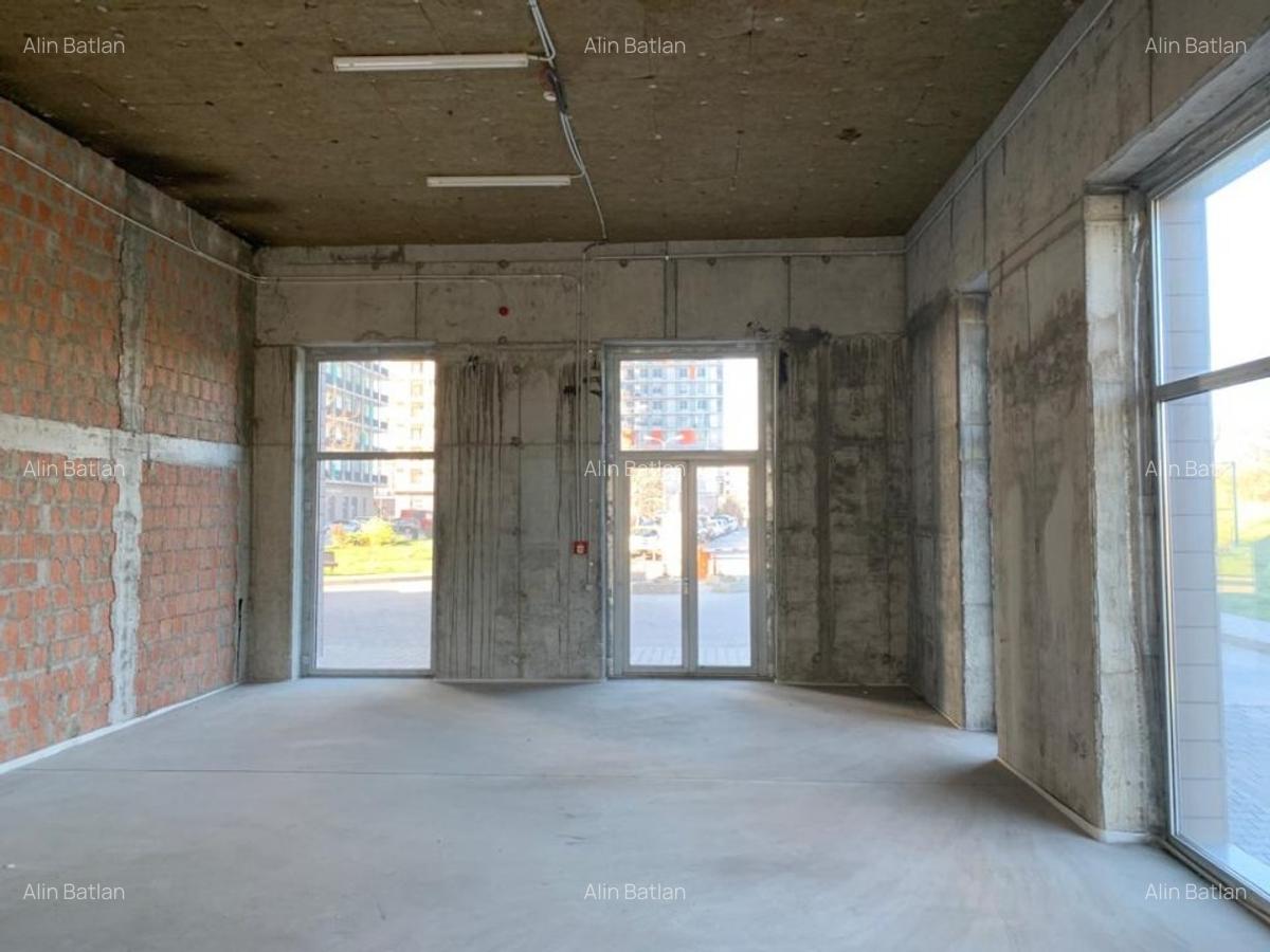 Proprietar vand spatiu comercial/birouri ASMITA GARDENS 512 mp - 6