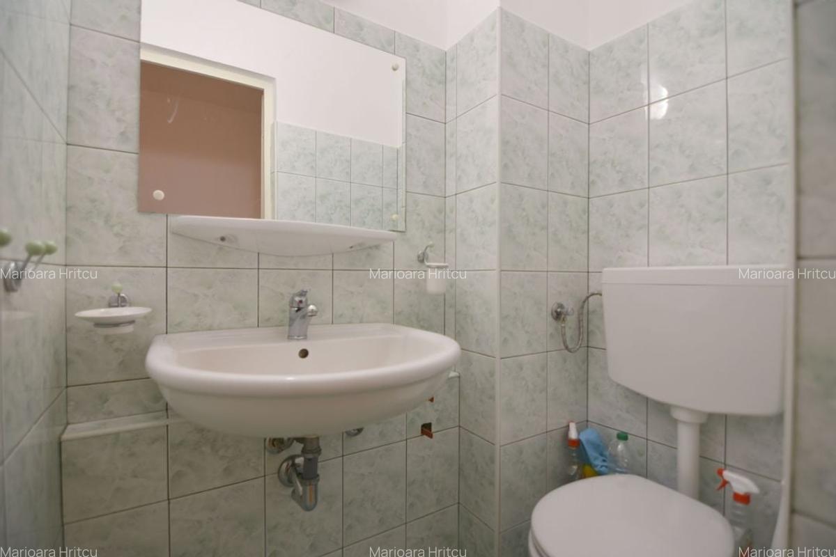 Apartament 3 camere cu garaj-str Stefan Octavian Iosif Timisoara - 7