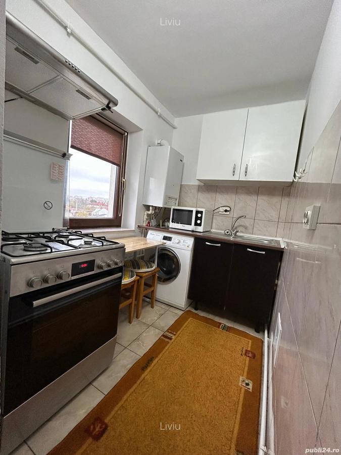 Garsoniera Cuza Voda - 2