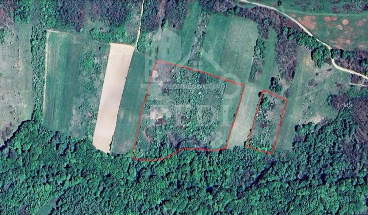 Teren 1 EURO/mp de vanzare in Tileagd-Balaia, Bihor - 2