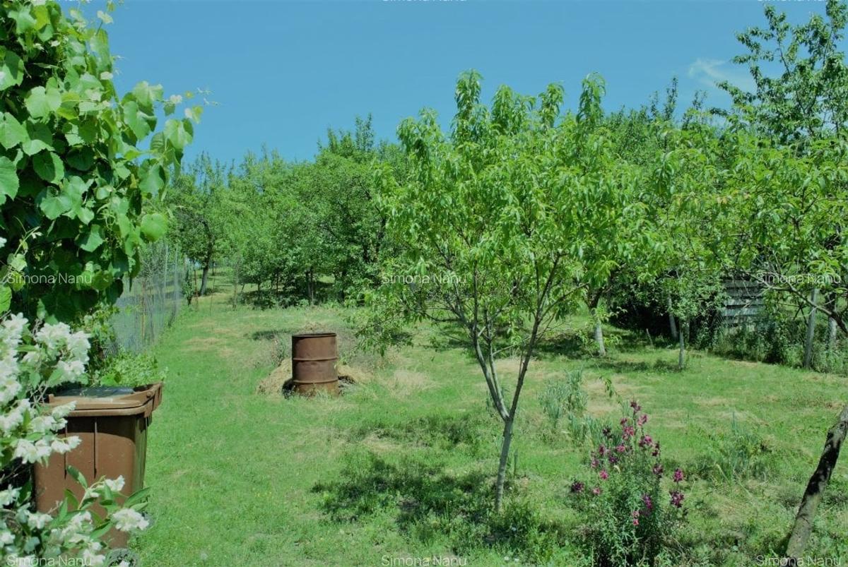 Casă cu 4 camere în Băicoi - 6