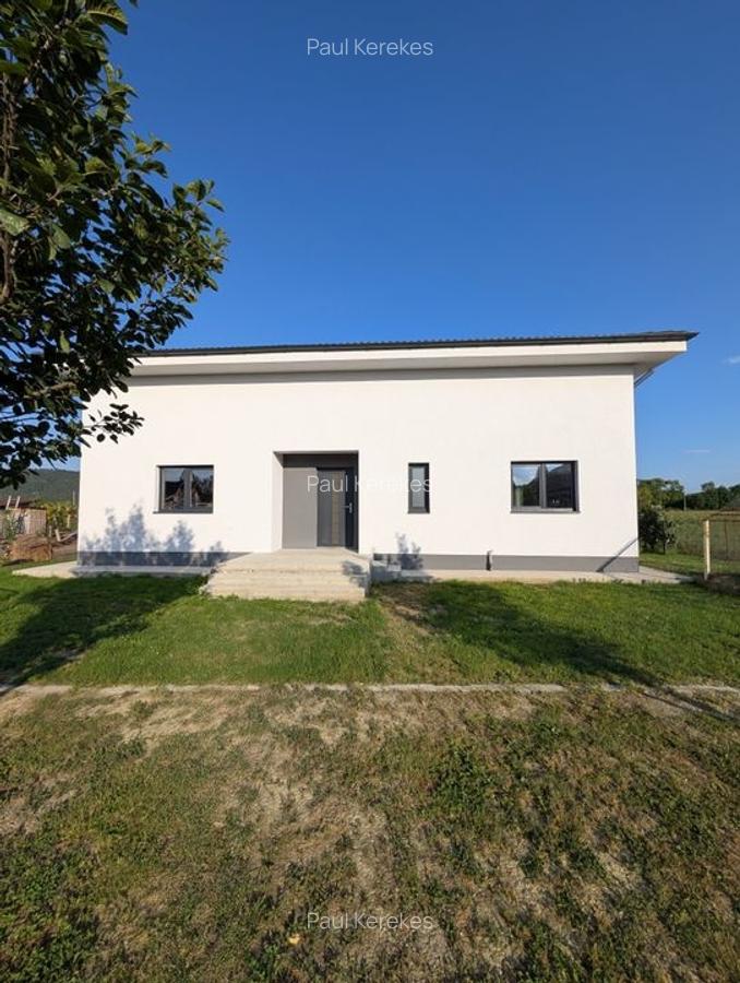 Proprietate mixtă rezidențial + comercial, 1.400 mp teren, Fundătura - 2