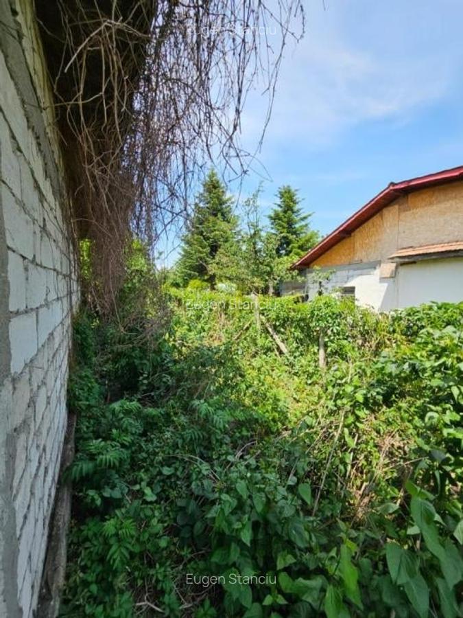 Oportunitate de Investitie - Teren si Imobil in Sinesti, Judetul Ialom - 10