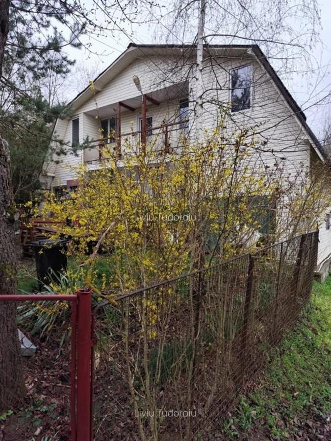 Casă de vânzare la liziera pădurii - Comuna Bogați, Argeș - 7