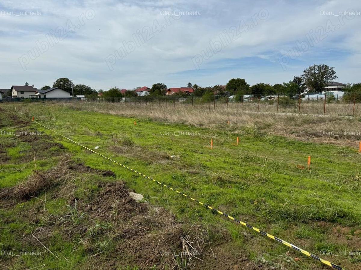 Teren lotizat Corbeanca - 5