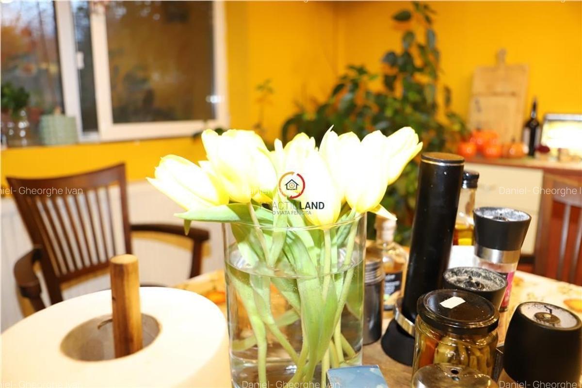 Vila  Oportunitate Unica - 9