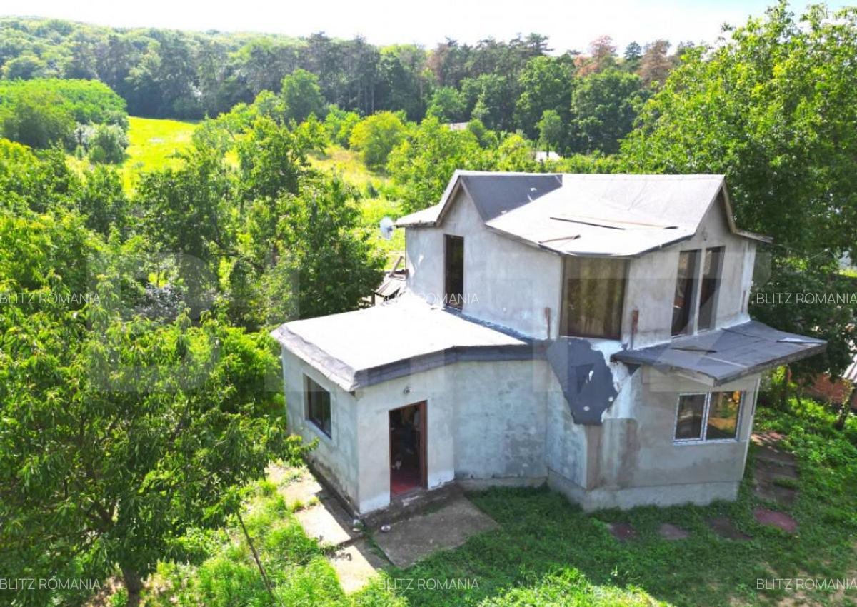 Casa intabulata in Dobrovat - 7