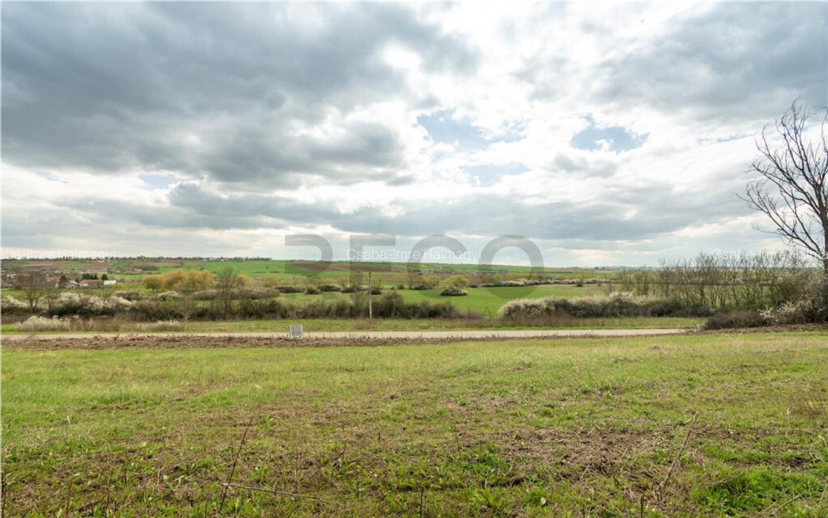 Teren intravilan Cetariu - 8