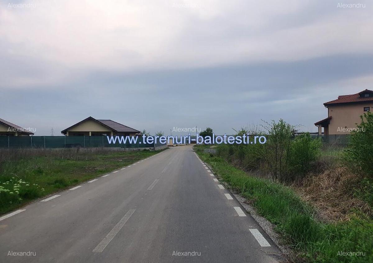 Teren Balotesti,langa case noi-50 m de asfalt 600mp - 1