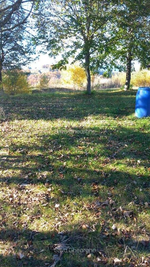 Vind construc?ie noua, 19 garsoniere,camere pentru inchiriat. - 9