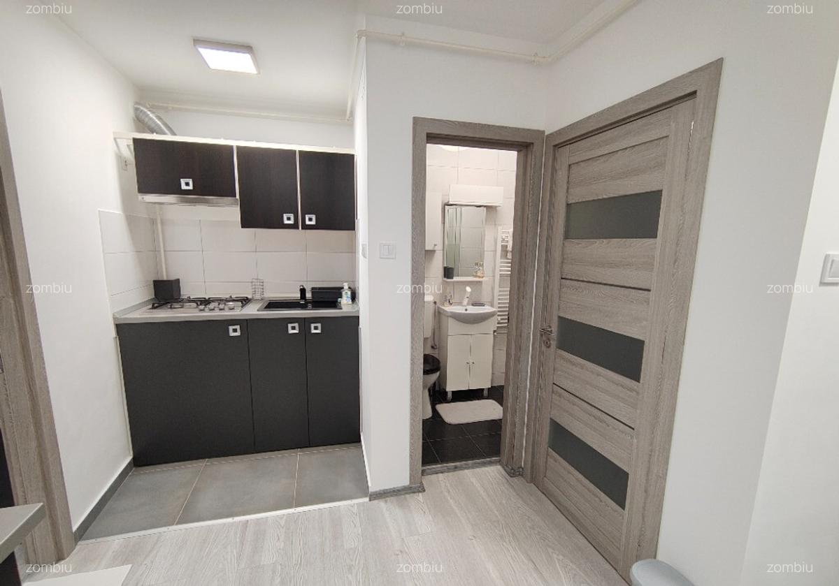 Se da in chirie apartament 1 camera semicentral Marasti - 3