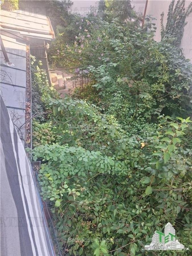 Vanzare casa la curte Tunari-Stefan cel mare - 14