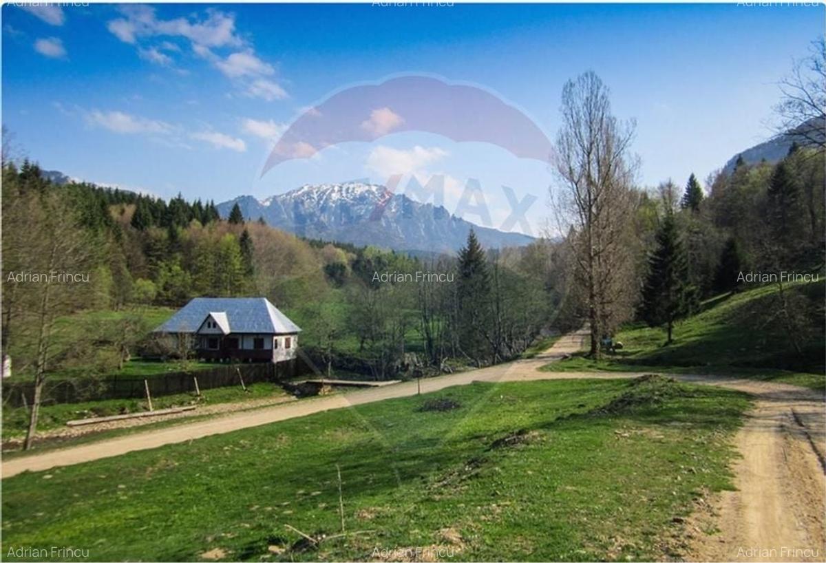 Teren 8500 mp, Valea Dalghiului - Dalghiu - vedere catre Ciucas - 1