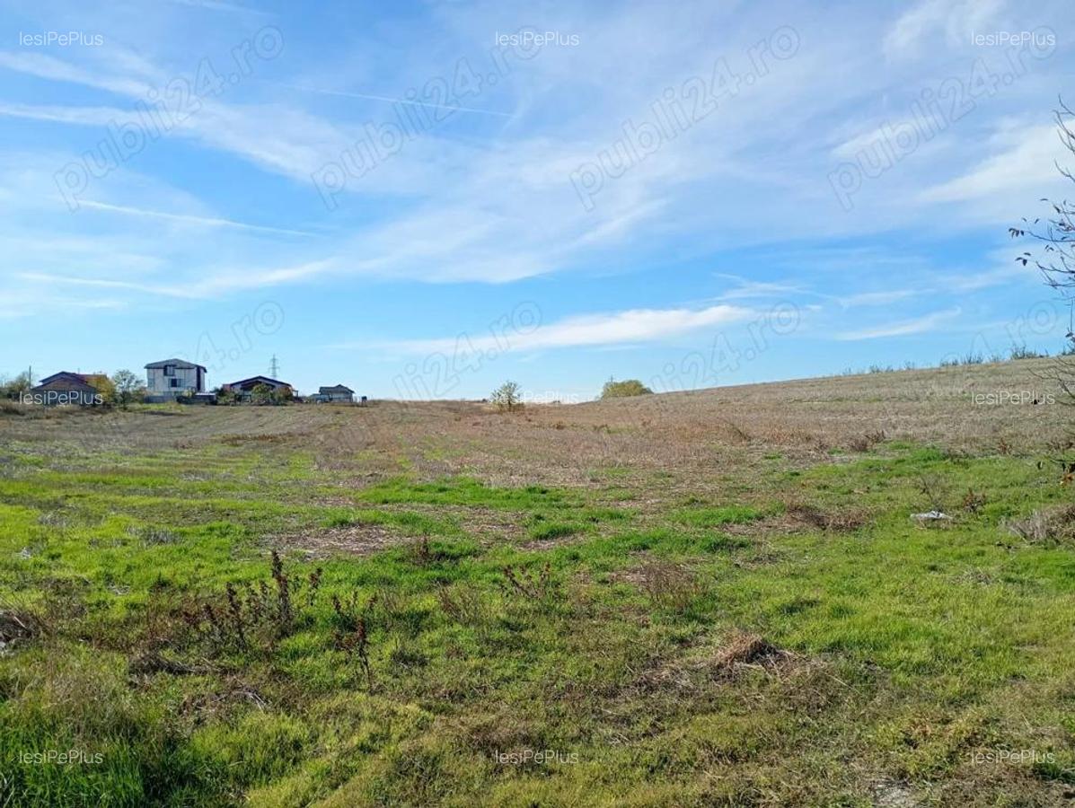 Teren 6.000 mp in Peri?, aproape de Bucure?ti ideal pentru locuin?a sau investi?ie - 1