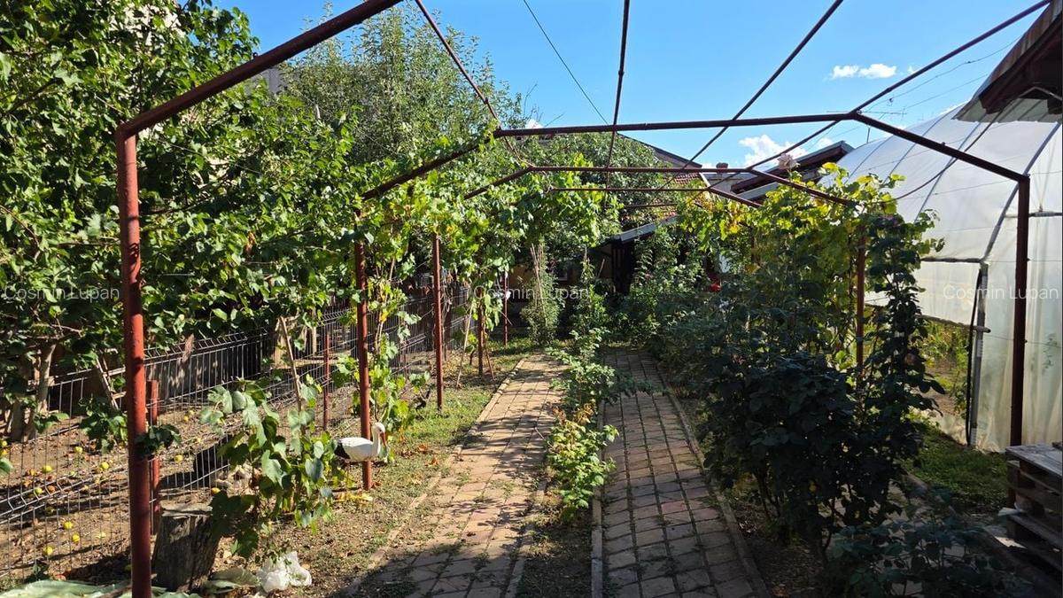 Casă + spațiu comercial la stradal, teren - 459 mp - 1