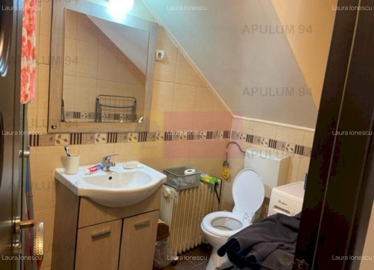 Duplex Domnesti- Putul Olteni. - 3