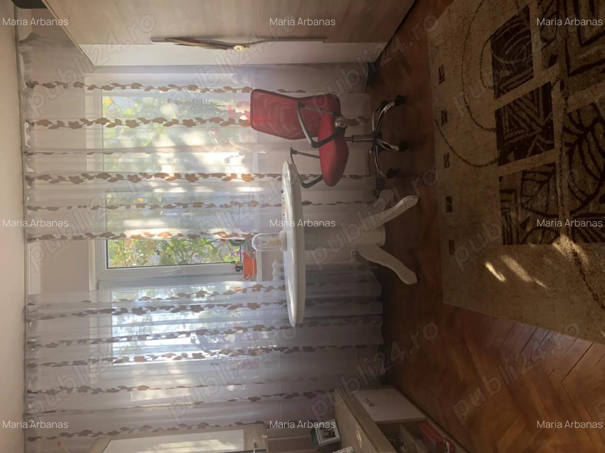 De vanzare apartament cu 2 camere in zona ?agului, Timi?oara - 4