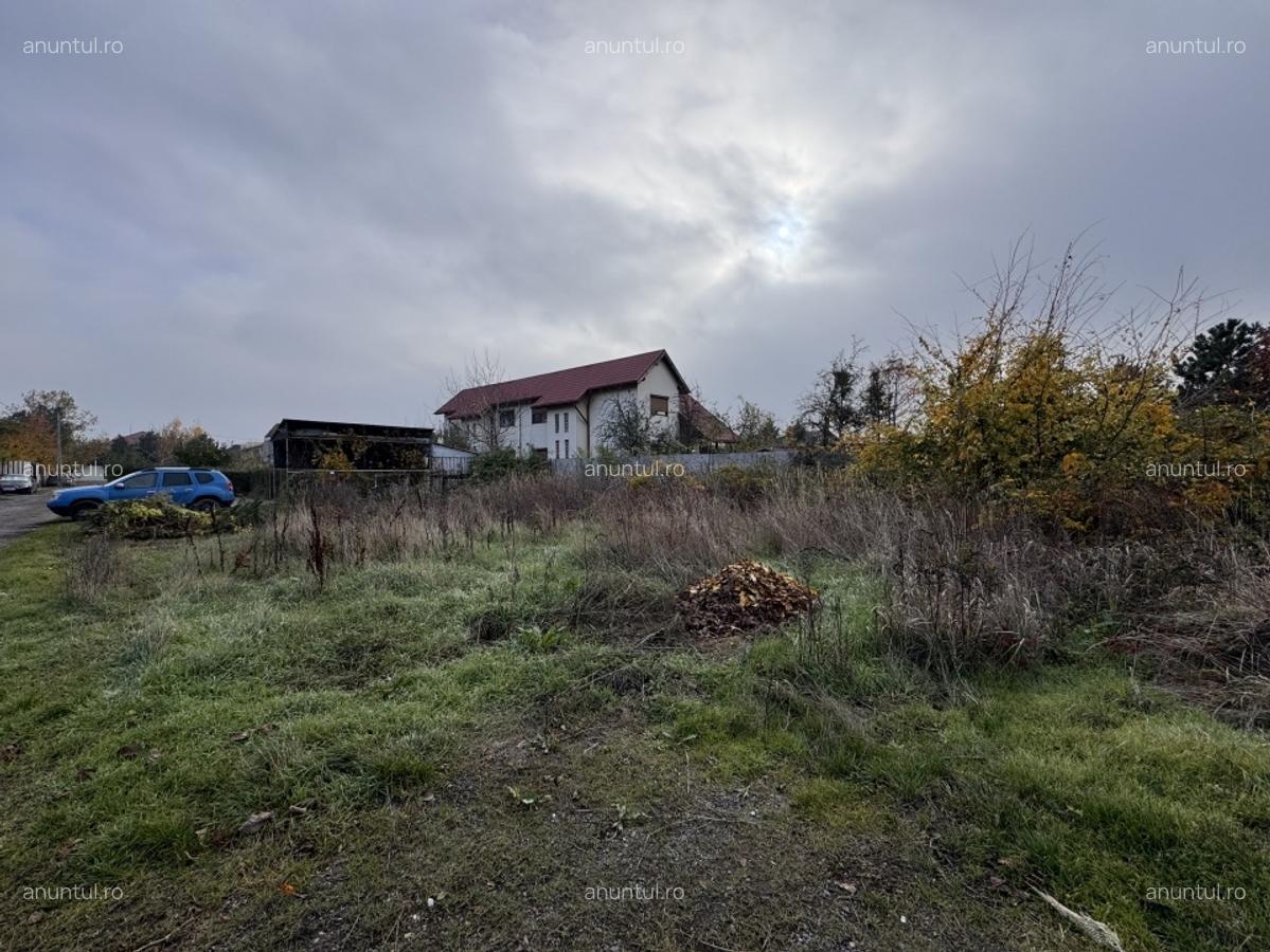 Ilfov Teren deosebit in Branesti sat Pasarea ! - 10