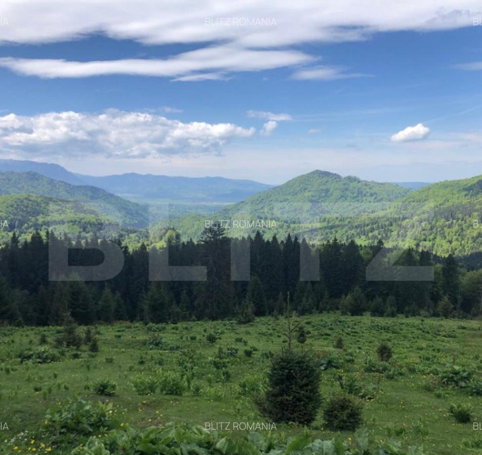 De vanzare, teren intravilan 5.500mp, Predeal - 2