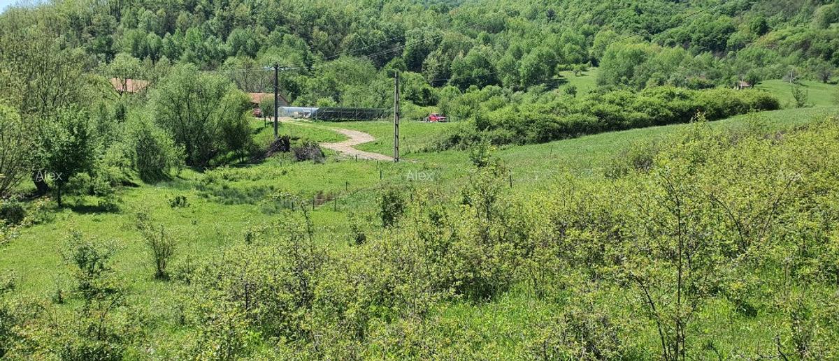 Teren 5.850mp poieni?a de vis la 2km de dunare, crusovita - 1