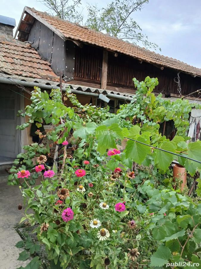 Vand casa batraneasca - 1